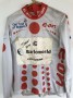 IMage of Signed Tour of Britain King of the Mountains Podium Jersey